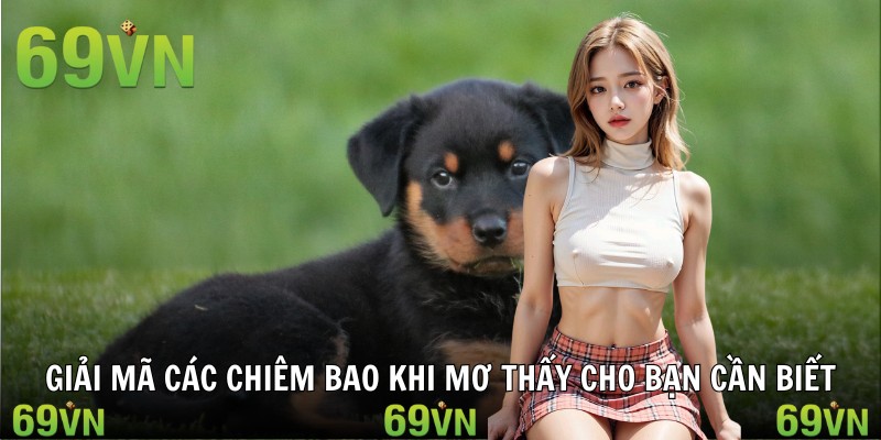 Câu trả lời liên quan tới chiêm bao thấy chó của bạn